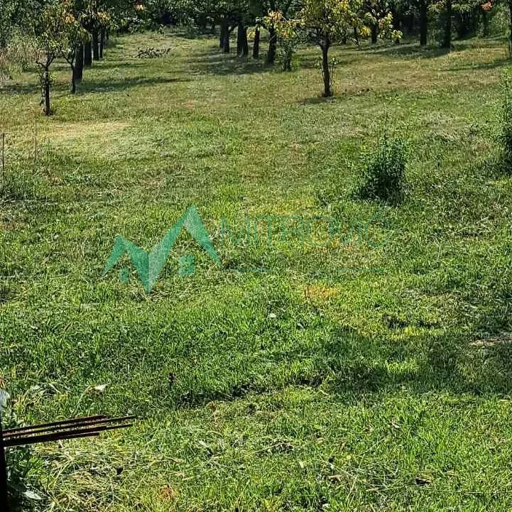 Plac Prodaja Irig  1381 m2