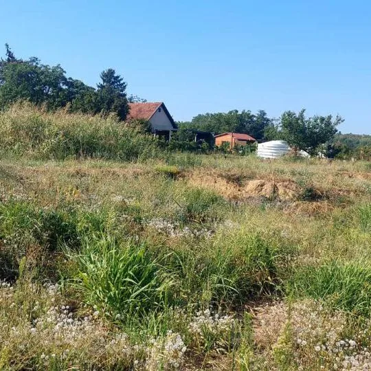 Plac Prodaja Novi Sad Alibegovac 1430 m2