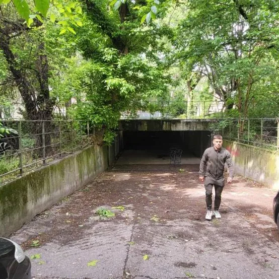 Jednosoban stan za izdavanje, Botanička Bašta, Beograd, 35m², 450 €/mes