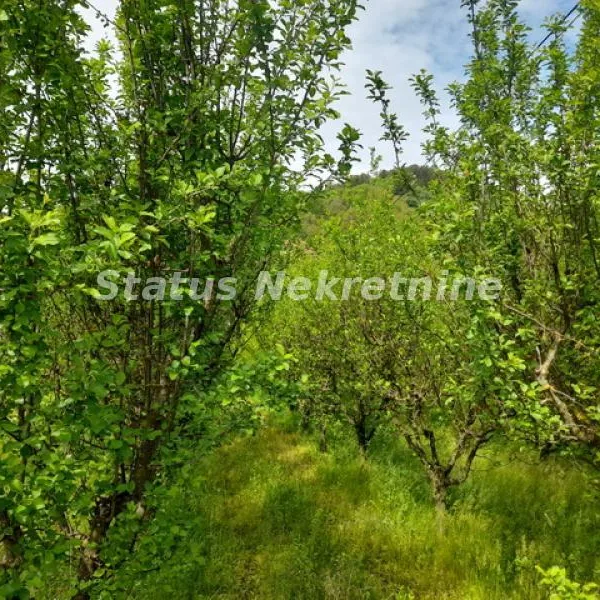 Plac Prodaja Vrdnik  0 m2