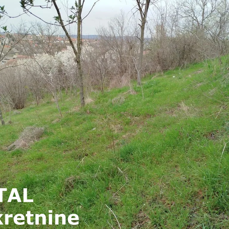 Plac na prodaju, Centar, Irig, 481m², 17.000 €