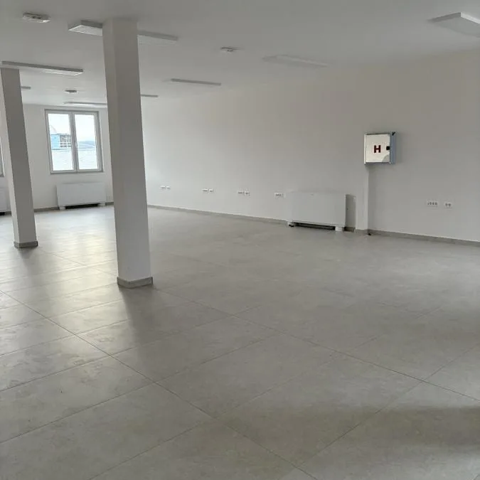 Lokal Izdavanje Novi Sad  250 m2