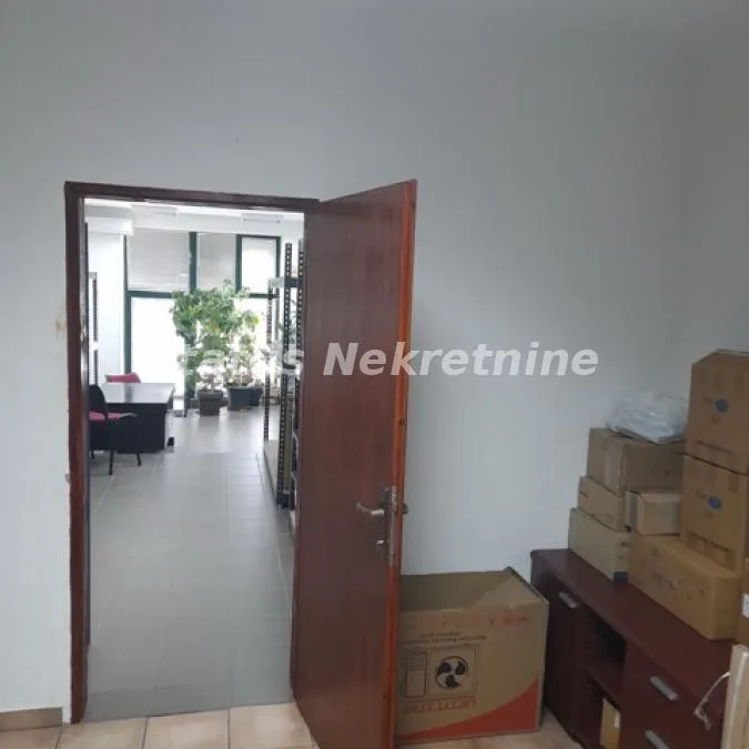Lokal Izdavanje Novi Sad  133 m2