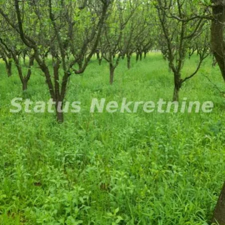 Plac Prodaja Vrdnik  0 m2