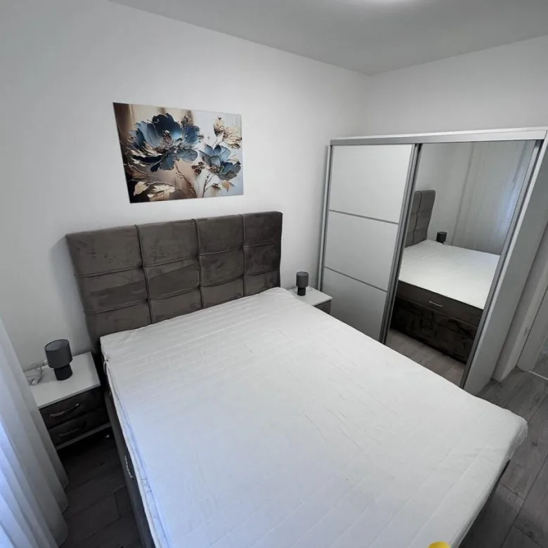 Stan Izdavanje Novi Sad Nova Detelinara 45 m2