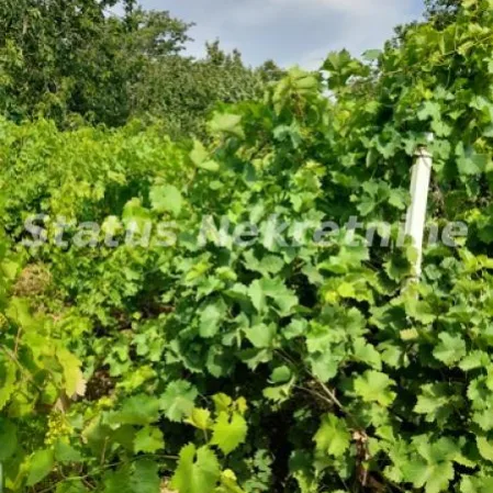 Plac na prodaju, Inđija, 11 ari, 42.000 €