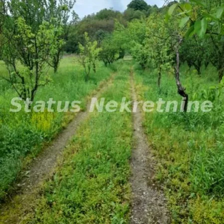 Kuća Prodaja Vrdnik  160 m2