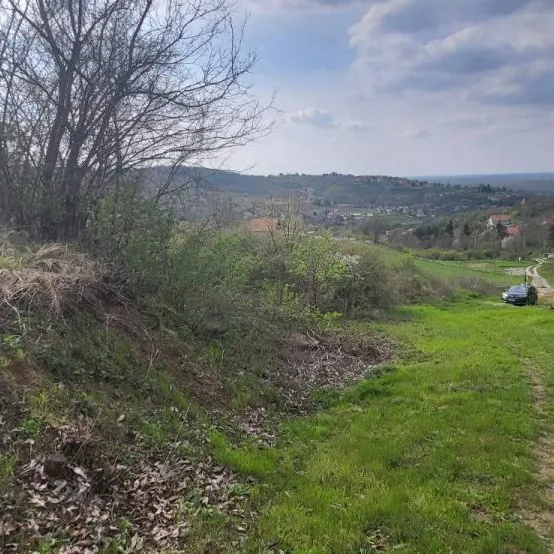 Plac na prodaju, Rakovac, Beočin, 2881m², 52.000 €