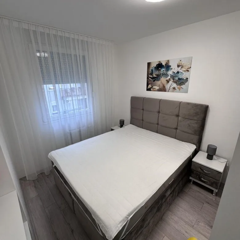 Stan Izdavanje Novi Sad Nova Detelinara 45 m2