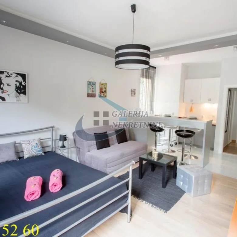 Stan Izdavanje Beograd Botanička Bašta 35 m2