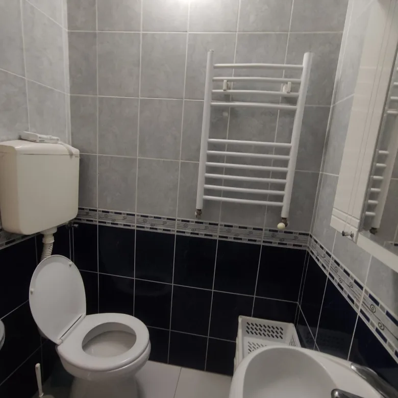 Stan Izdavanje Novi Sad Cara Dušana 25 m2