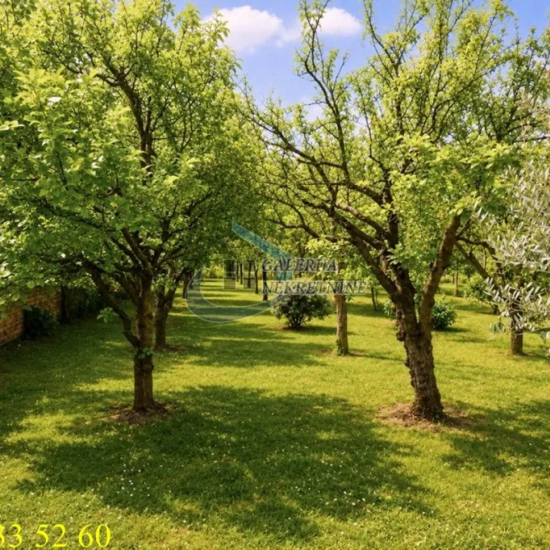 Kuća na prodaju, Centar, Inđija, 190m², 190.000 €