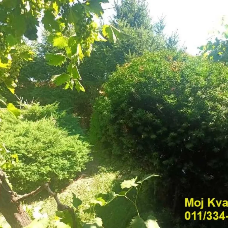 Kuća na prodaju, Srebrno Jezero, Veliko Gradište, 260m², 80.000 €