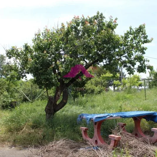 Plac Prodaja Beograd Nemenikuće 0 m2