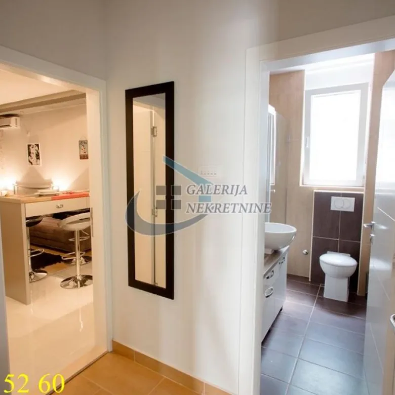 Jednosoban stan za izdavanje, Botanička Bašta, Beograd, 35m², 600 €/mes