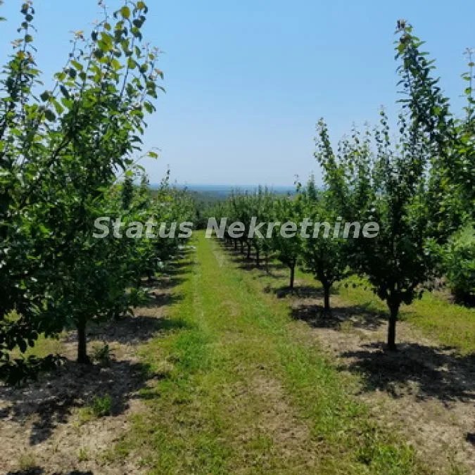 Plac na prodaju, Vrdnik, Irig, 30 ari, 154.500 €