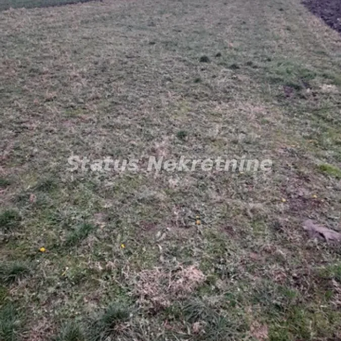 Plac Prodaja Novi Sad  0 m2