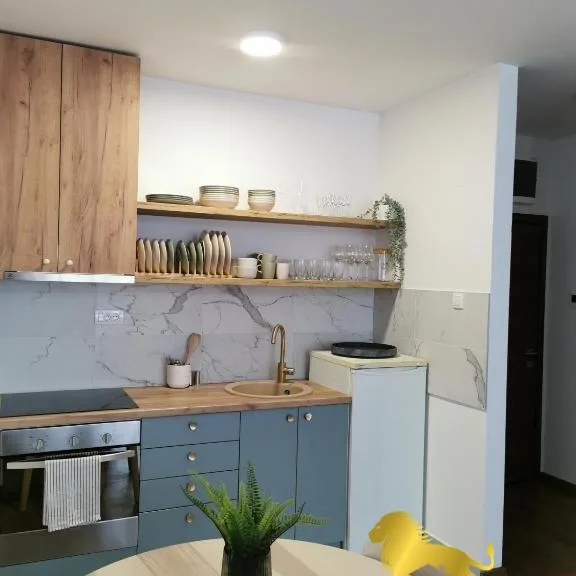 Jednoiposoban stan za izdavanje, Podbara, Novi Sad, 45m², 500 €/mes