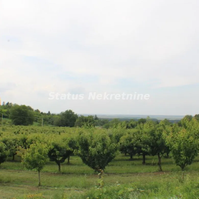 Plac Prodaja Inđija Krčedin 0 m2